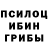 Галлюциногенные грибы прущие грибы Zaxarias Fournaris