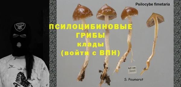 тгк Армянск